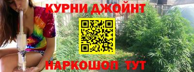 сатива Славгород