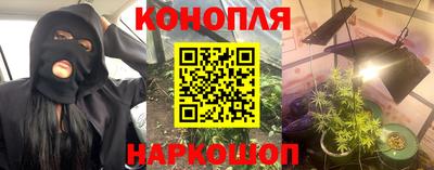 сатива Славгород