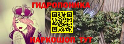 сатива Славгород