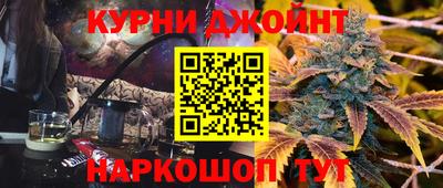 сатива Славгород